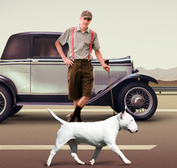 Miniature Bullterrier Club website design