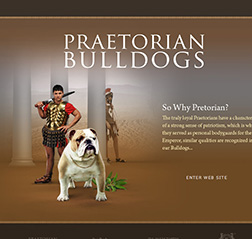 Shar Pei Breeder website design
