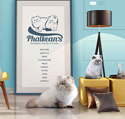 Cat breeder webdesign